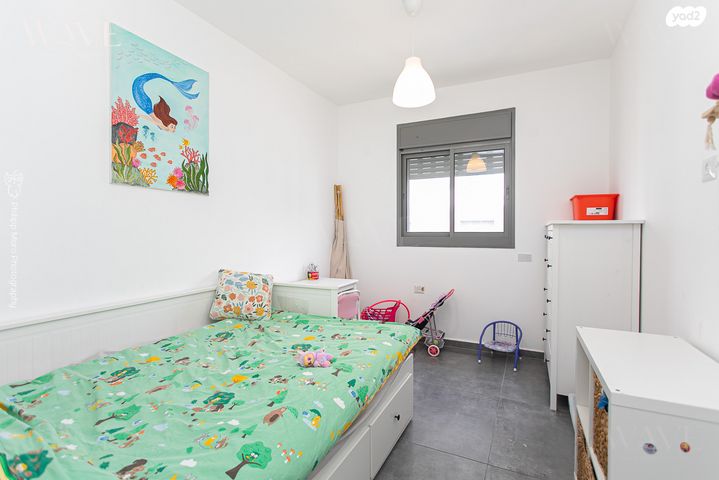 דירה, רזיאל, החותרים, טירת כרמל