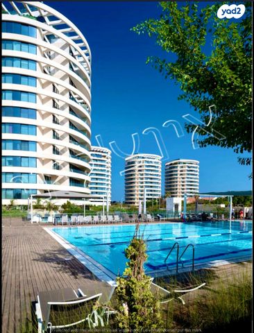 פנינה זלצמן 