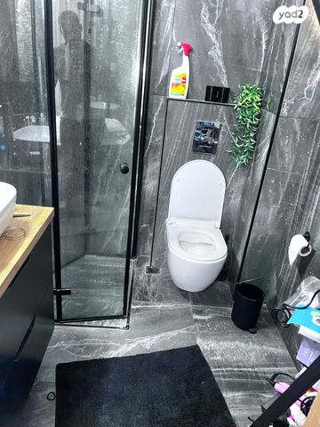 דירה, צבי ישי, ליבת העיר, יהוד מונוסון