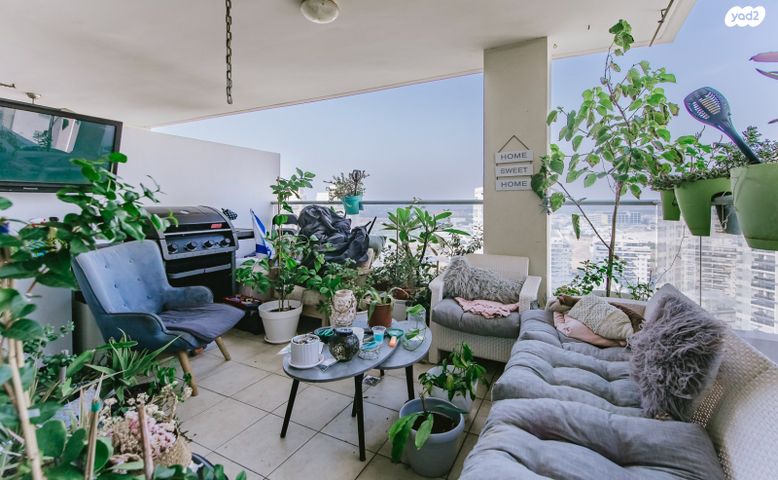 דירה, משה סנה, הדר המושבות החדשה / אם המושבות החדשה, פתח תקווה