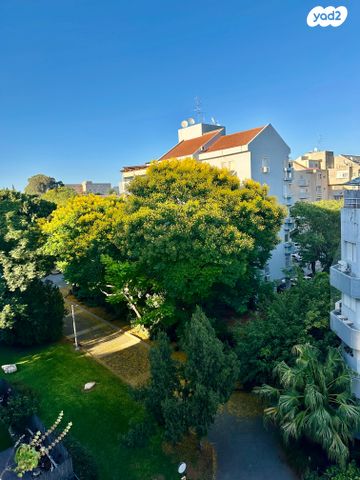 דירה, הגליל, מרכז, כפר סבא