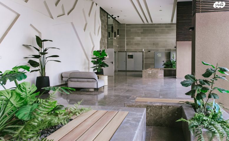 דירה, משה סנה, הדר המושבות החדשה / אם המושבות החדשה, פתח תקווה