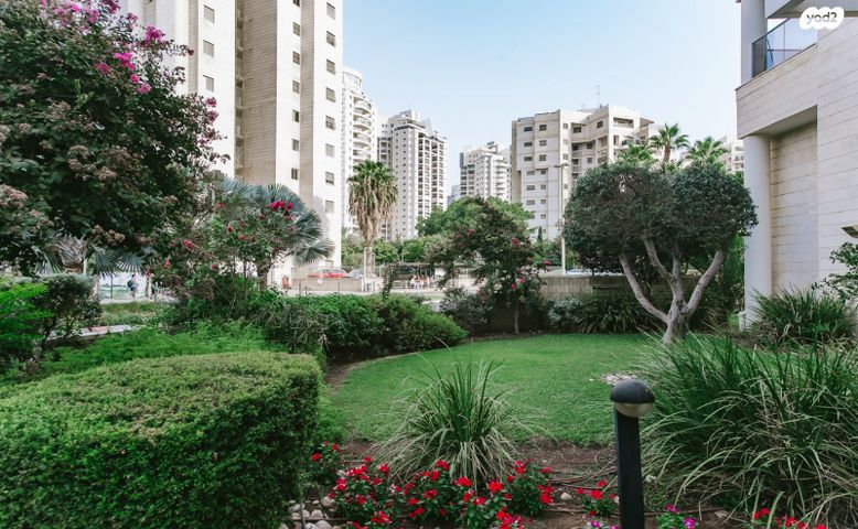 דירה, משה סנה, הדר המושבות החדשה / אם המושבות החדשה, פתח תקווה