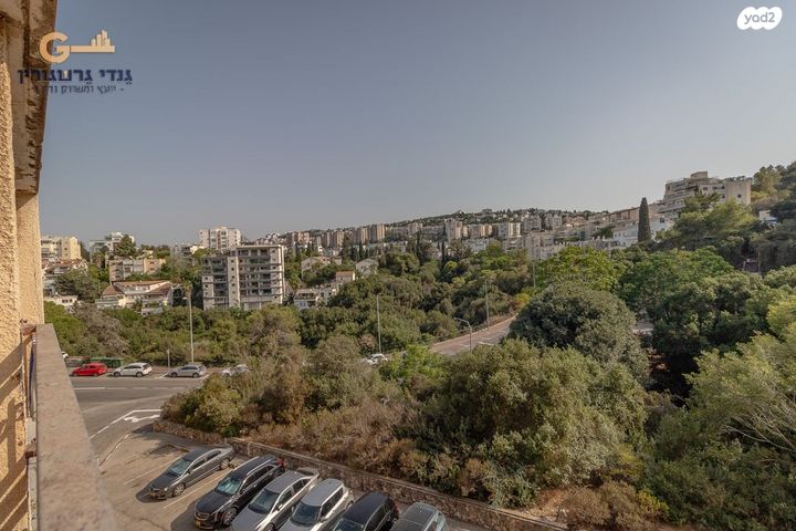 דירה, הראל, אחוזה, חיפה