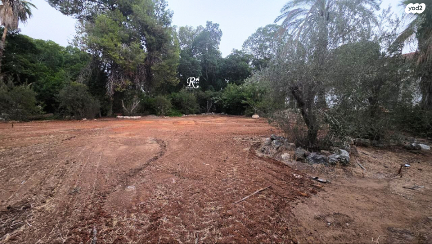 בית פרטי/ קוטג', סביון