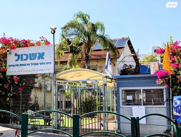 דירה, עלייה, נס ציונה