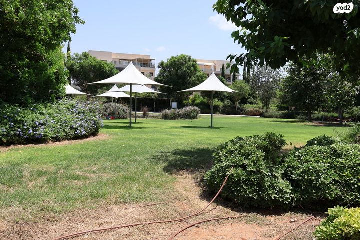 דירה, ארגמן, נס ציונה