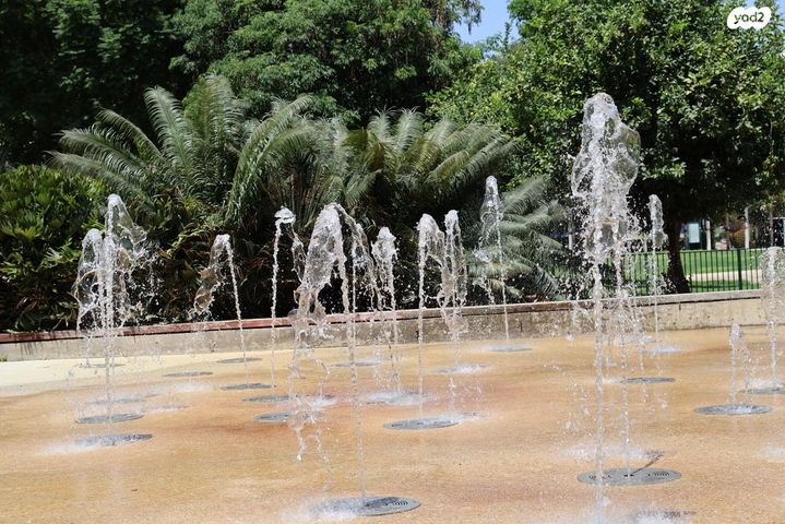 דירה, ארגמן, נס ציונה