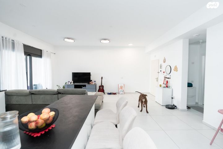 גג/ פנטהאוז, אור ים, אור עקיבא