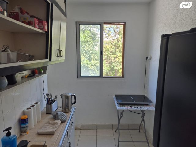 דירה, יציאת אירופה, תקומה, כפר סבא