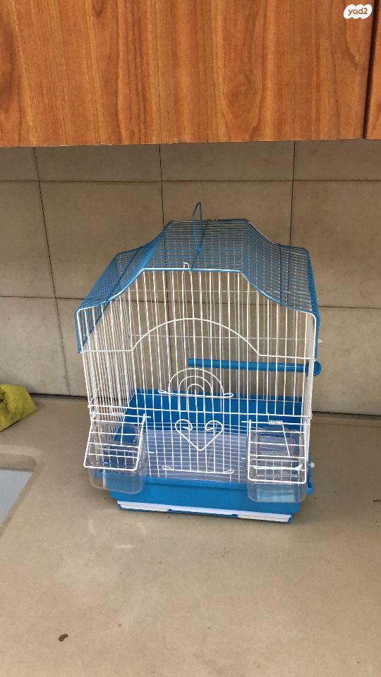 תמונת מודעה - חיות מחמד