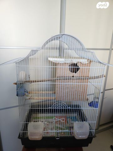 תמונת מודעה - חיות מחמד