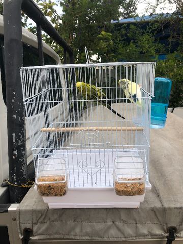 אביזרים | כלוב