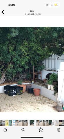 שביל הרקפת 42