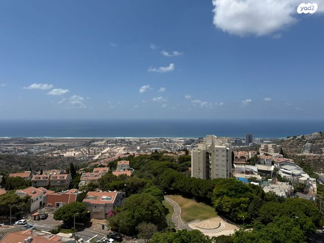 דרך פרויד 44