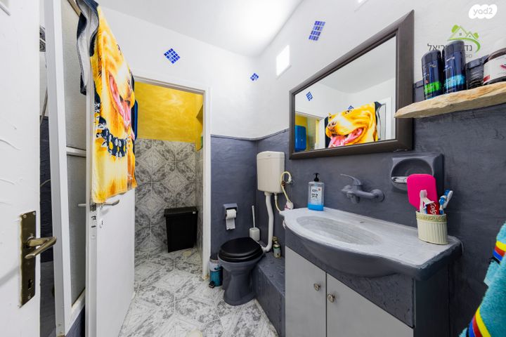 דירת גן, הפסגה 40, אריאל