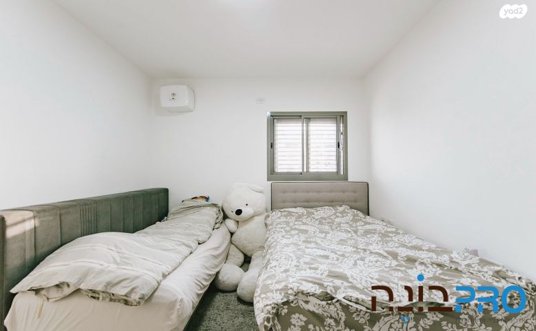 דירה, קלמן ביאלר, רחובות החדשה, רחובות