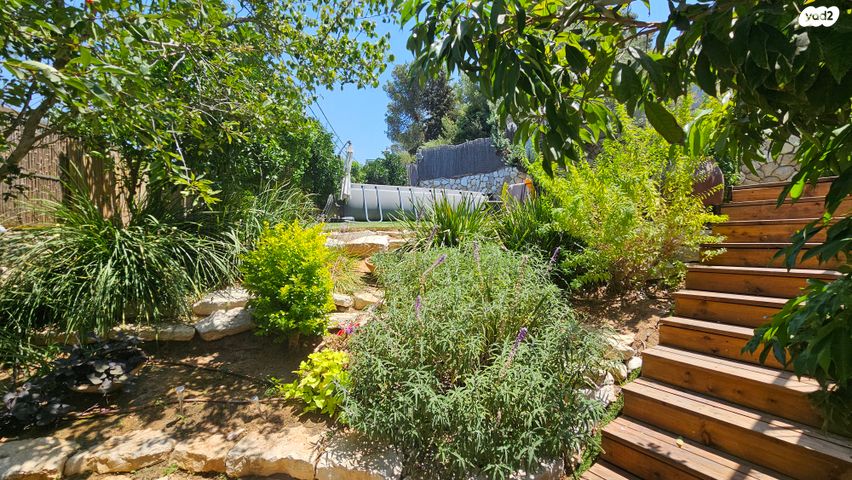 שמריהו לוין 