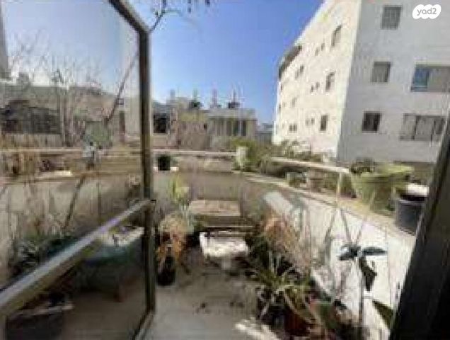 דירה, יונה הנביא, כרם התימנים, תל אביב יפו