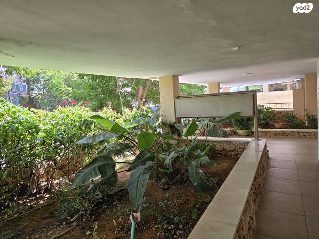 דירה, תל חי, ארלוזורוב, כפר סבא