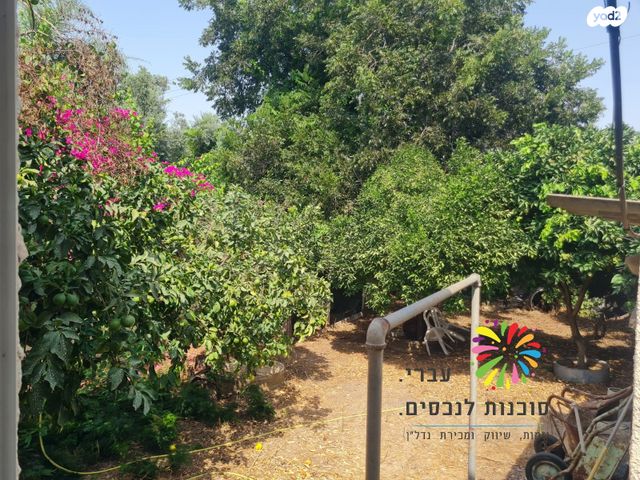 דו משפחתי, נוף ים, הרצליה