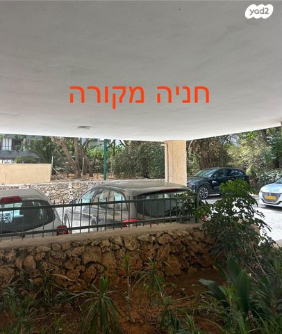 דירה, תל חי, ארלוזורוב, כפר סבא