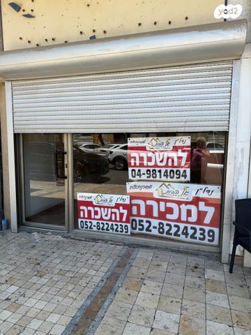 בן עמי 