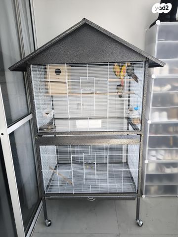 תמונת מודעה - חיות מחמד