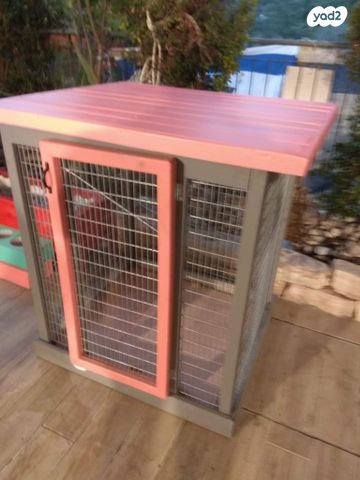 תמונת מודעה - חיות מחמד