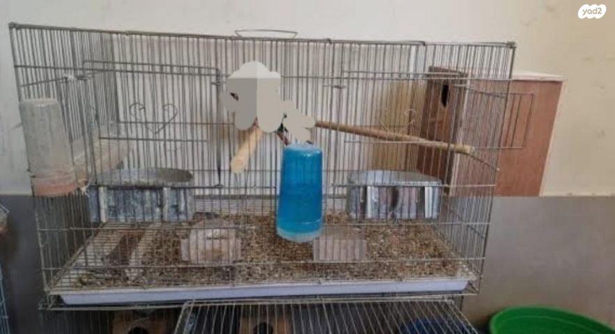 תמונת מודעה - חיות מחמד