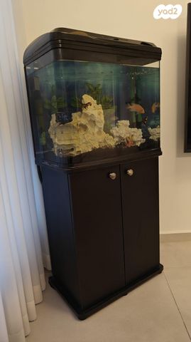 תמונת מודעה - חיות מחמד