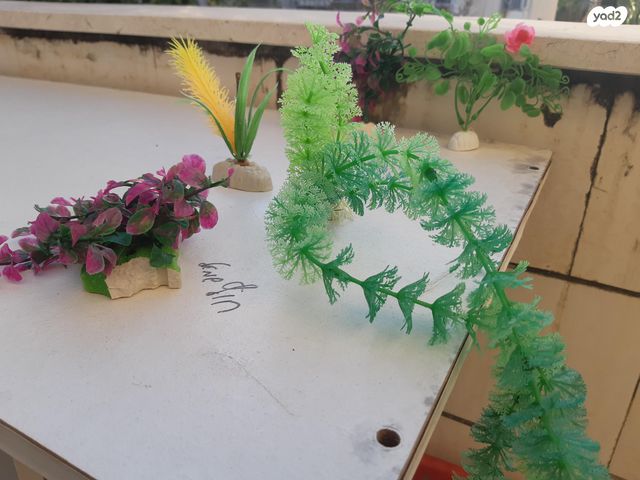 תמונת מודעה - חיות מחמד