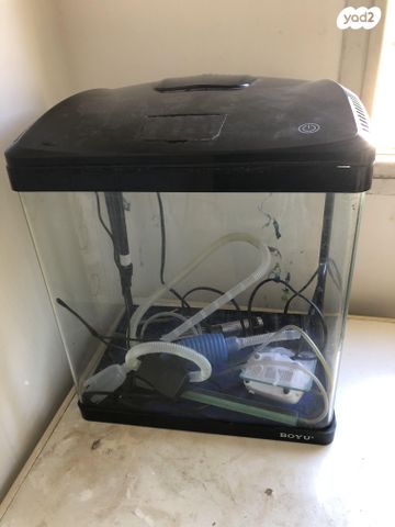 תמונת מודעה - חיות מחמד