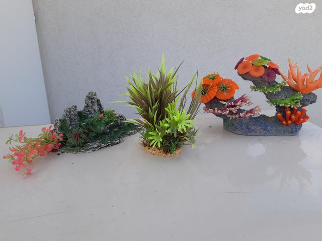 אביזרים | צמחיה לאקווריום