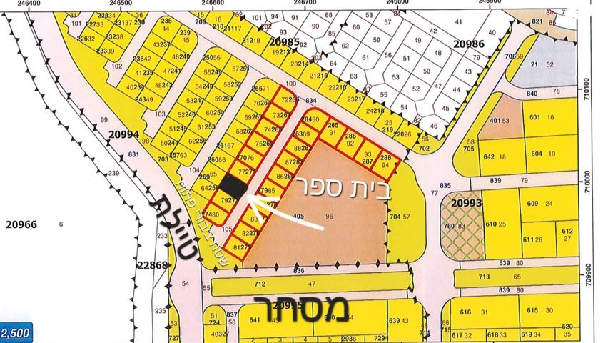 חיים בר לב 1