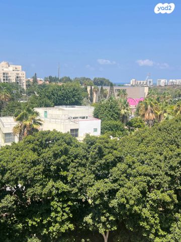 אליעזר קשאני 