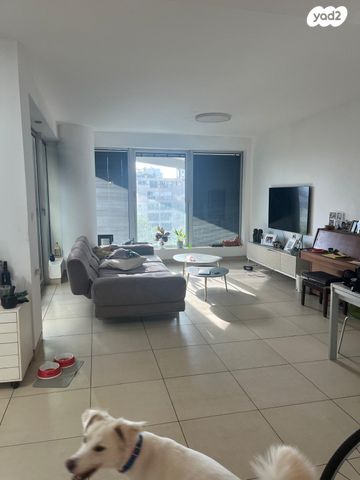 ניסים אלוני 