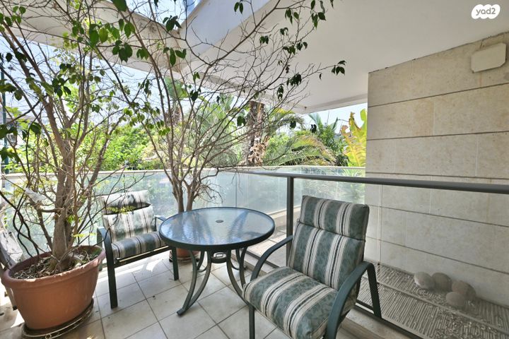 דירה, נס ציונה