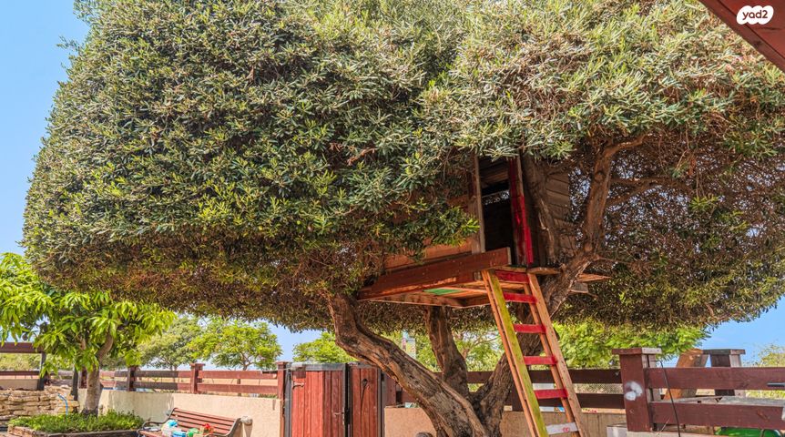 בית פרטי/ קוטג', תלמי יפה