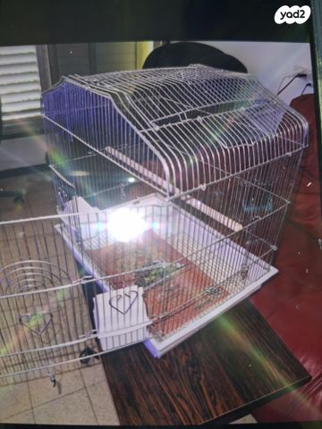 תמונת מודעה - חיות מחמד