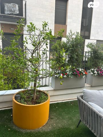 גג/ פנטהאוז, אהבת אדם 87, שרונה, כפר יונה