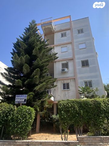 דוד וולפסון 