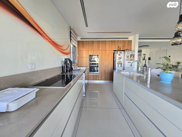 גג/ פנטהאוז, הרב זבולון גרז 1, רחובות הצעירה, רחובות