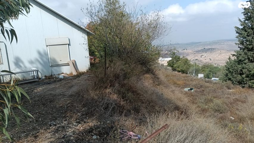 משק חקלאי/ נחלה, מגדל עדר, בת עין, בת עין