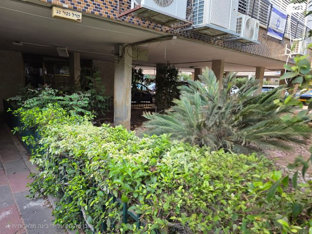 דירה, קרל נטר, אברמוביץ', ראשון לציון