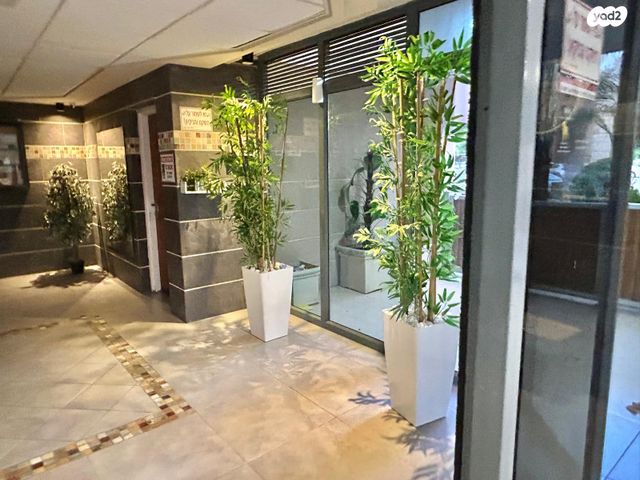 דירה, הולנד, מרכז העיר, עפולה