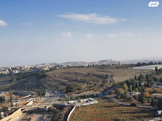 השופט חיים כהן 