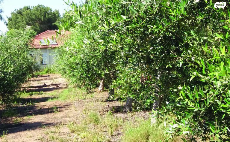 משק חקלאי/ נחלה, ניצני עוז, ניצני עוז