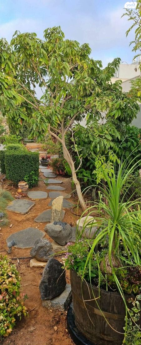 בית פרטי/ קוטג', צלפון