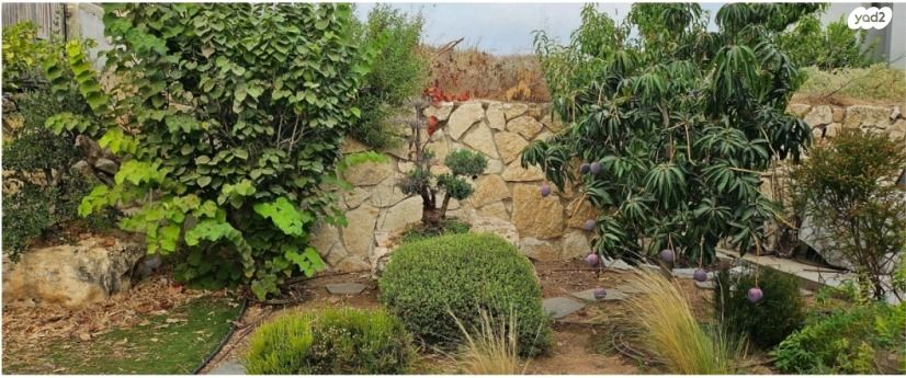 בית פרטי/ קוטג', צלפון